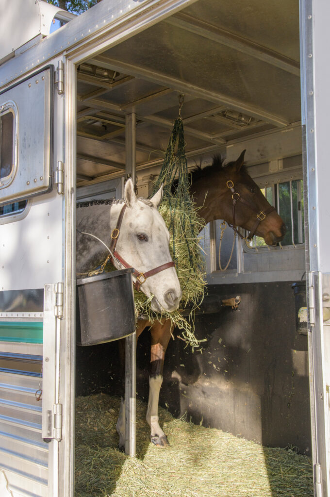 competiciones caballos galicia