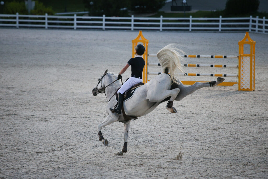 competiciones de caballos