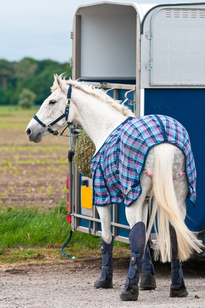 flete caballos galicia