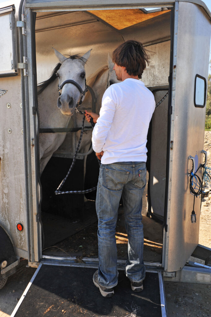 transporte equino lugo